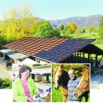 Dach-Rosegghof4